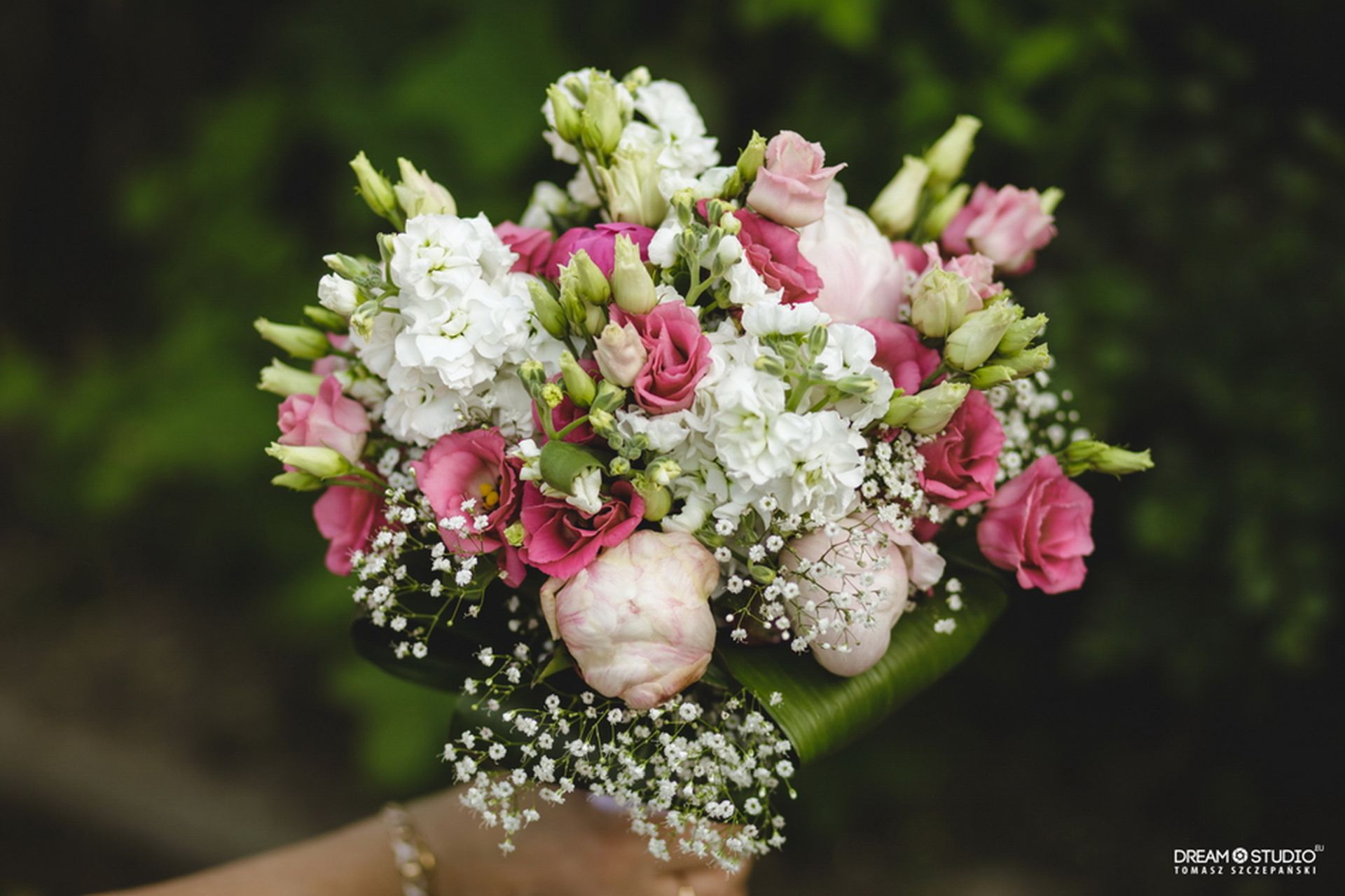 Kwiaciarnia Magnolia 09